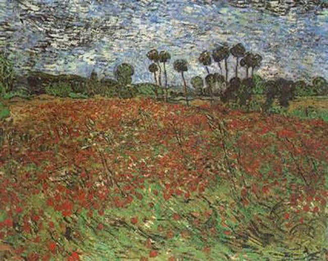 Field with Poppies,Vincent Van Gogh,60x50cm