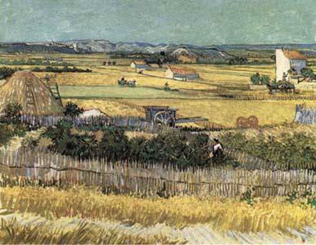 Harvest at La Crau,with Montmajour in the Background,60x50cm