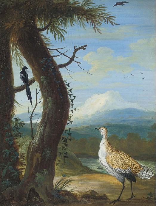 A bustard and a magpie in an exotic landscape Christoph Ludwig Agricola