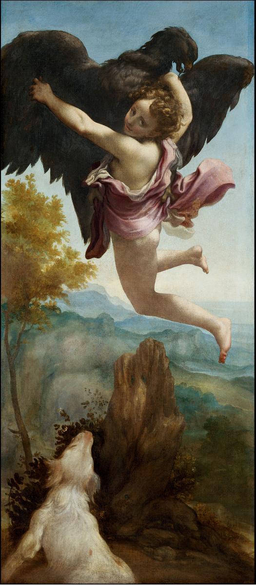 Ganymede Abducted by the Eagle, Antonio Allegri da Correggio