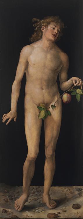 Adam,Albrecht Durer,80x40cm