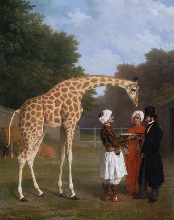 The Nuian Giraffe,Jacques-Laurent Agasse,50x40cm