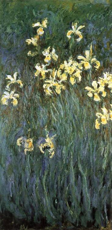 Yellow Irises,Claude Monet,80x40cm