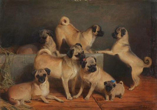 A Family of Pugs,Charles Burton Barber,1845-1894