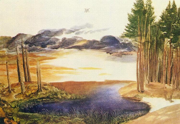 A Pond in the woods,Albrecht Durer,60x40cm