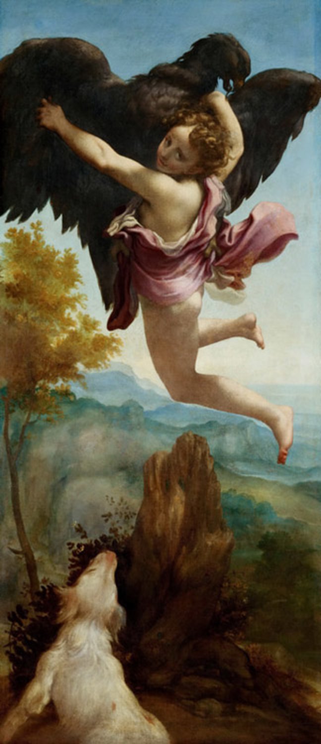 Abducation of Ganymede,Correggio,80x34cm
