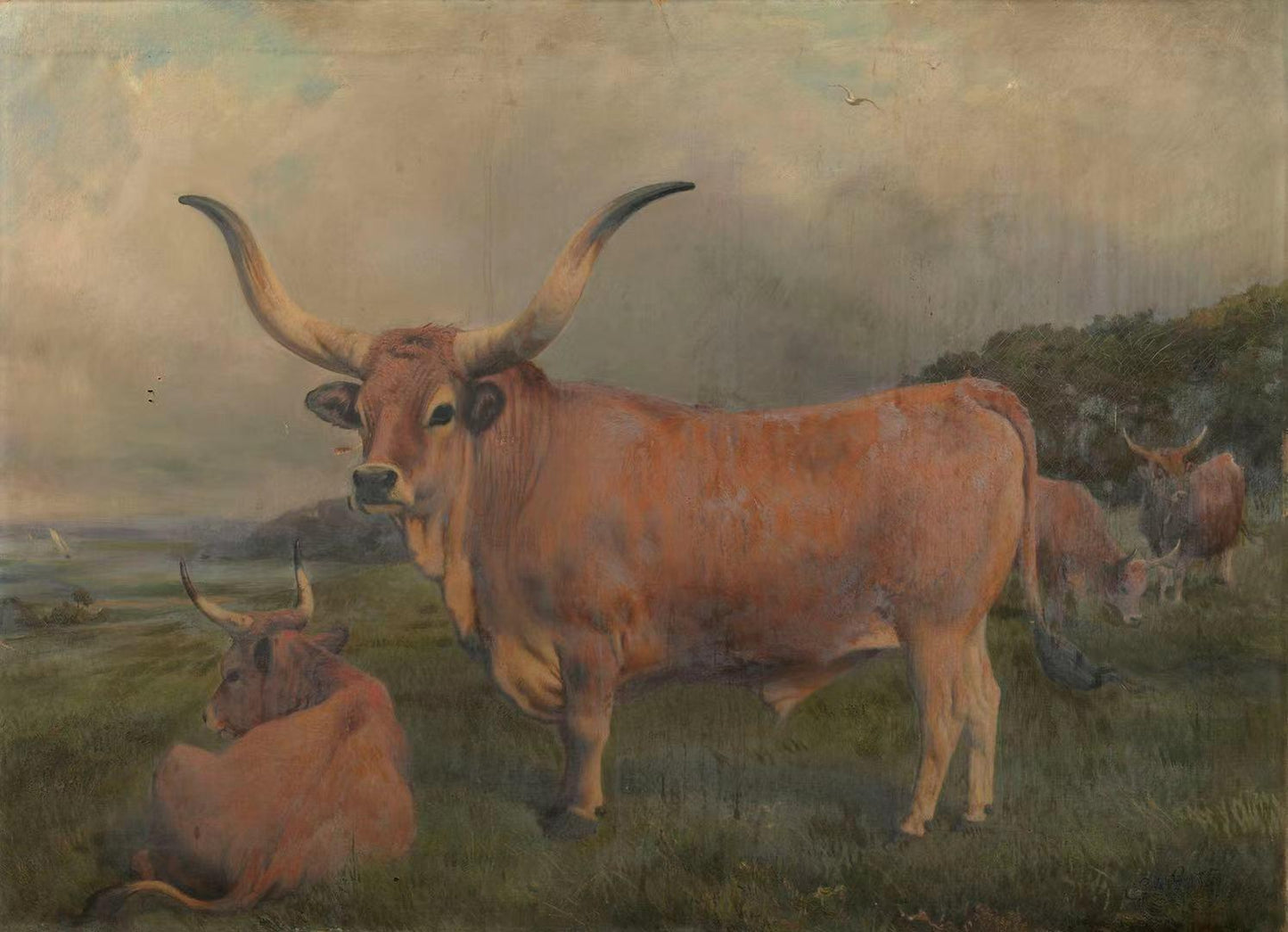 A group of Spanish Oxen,Charles Burton Barber,1845-1894