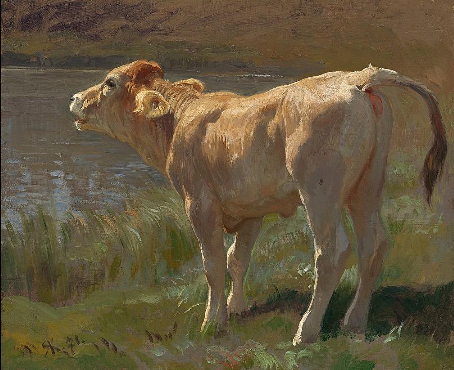 Bellowing Cow, ，  Rudolf Koller