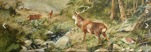 Deer on the battlefield， Slava Raškaj