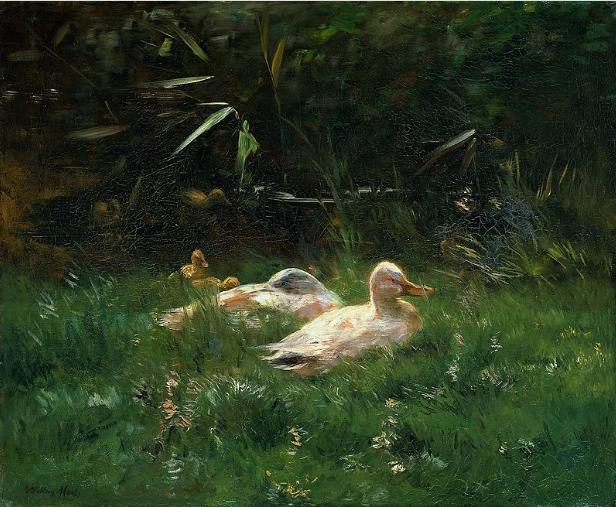 Ducks， Willem Maris