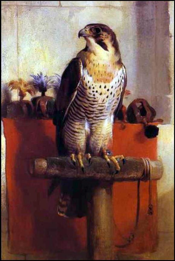 Falcon, 1837, Edwin Landseer