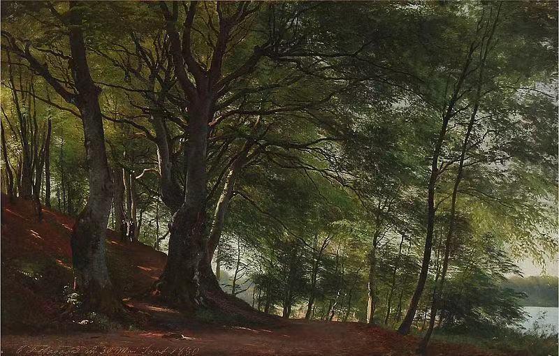 Forest scene from Sorø, Denmark,Carl Frederik Aagaard