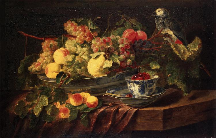 Fruit and a Parrot,Jan Fyt,60x37cm