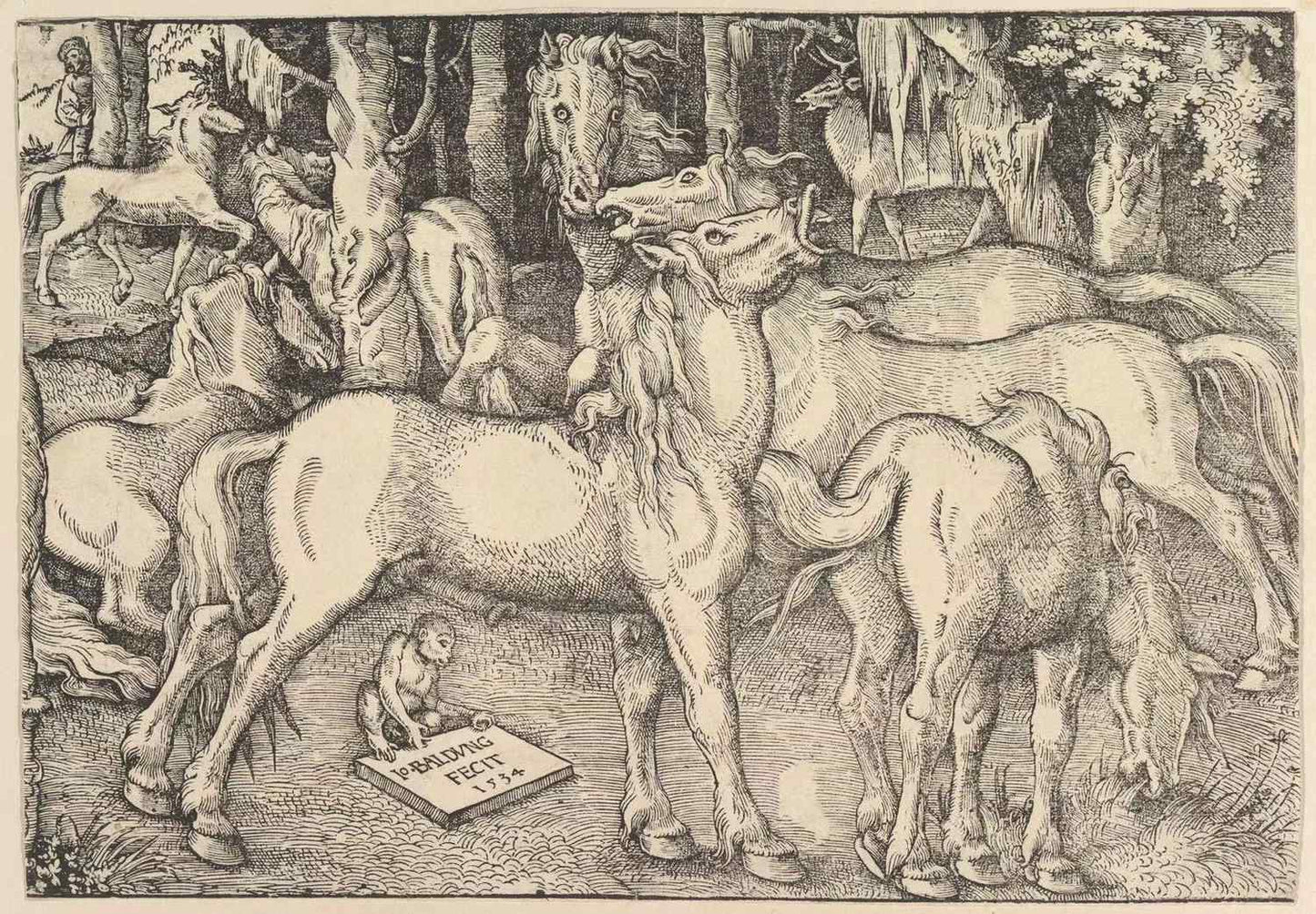 Group of Seven Horses, Hans Baldung,1484-1545