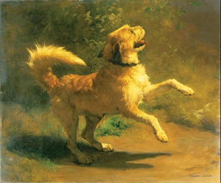 Jumping Dog, ,  Rudolf Koller
