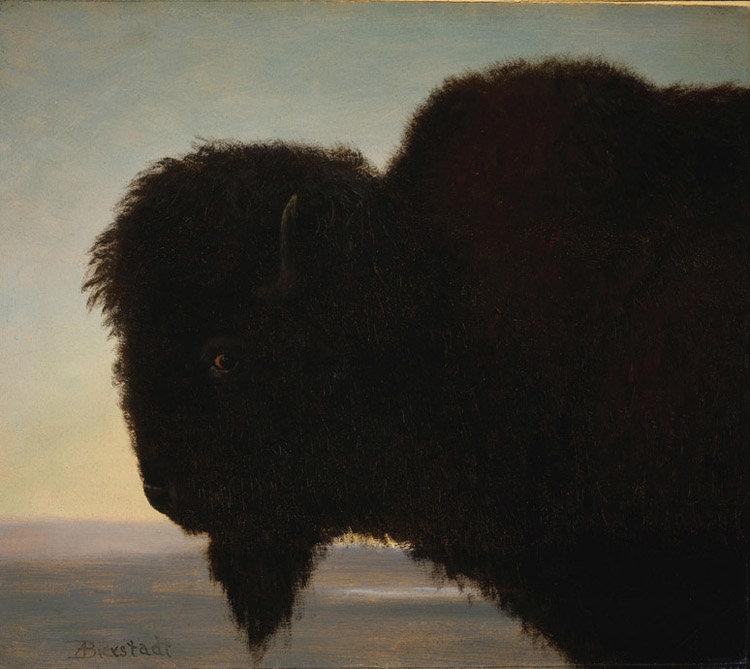 Last of the Buffalo,Albert Bierstadt,50x45cm