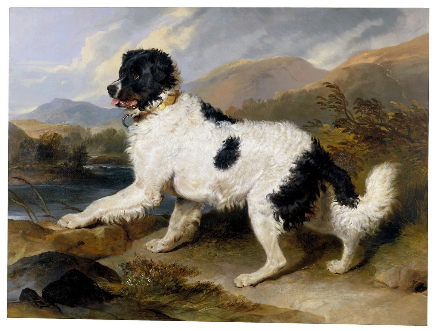 Lion: A Newfoundland Dog, 1824, Edwin Landseer