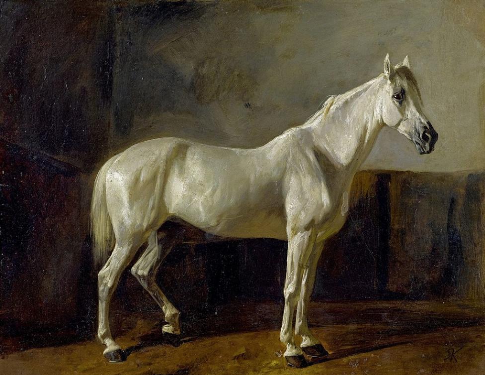 Standing White Horse  Rudolf Koller