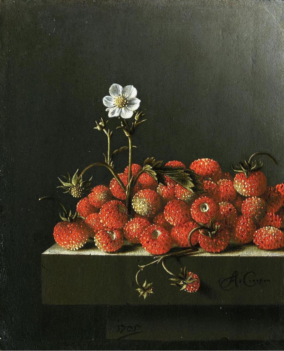 Strawberries Mauritshuis (1696), Adriaen Coorte