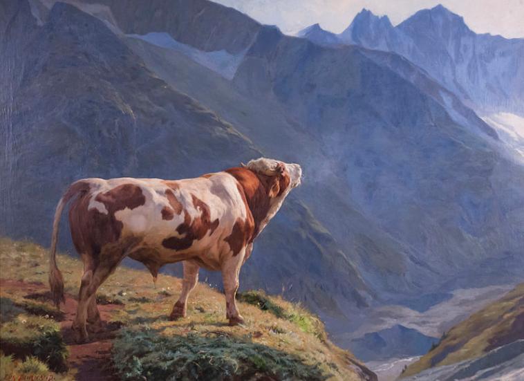 Taureau dans les Alpes, Eugène Burnand