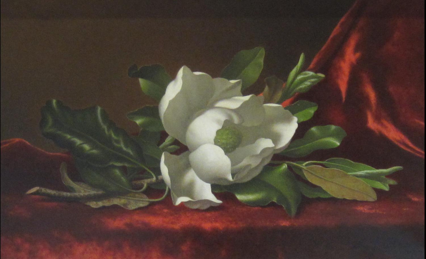 The Magnolia Blossom, 1888, Martin Johnson Heade