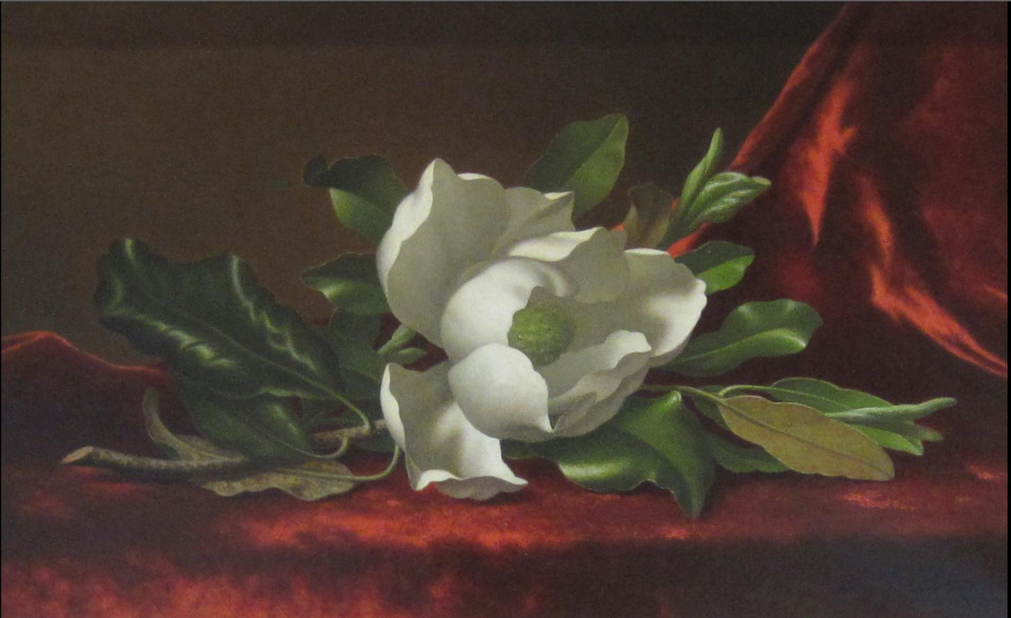 The Magnolia Blossom, 1888, Martin Johnson Heade