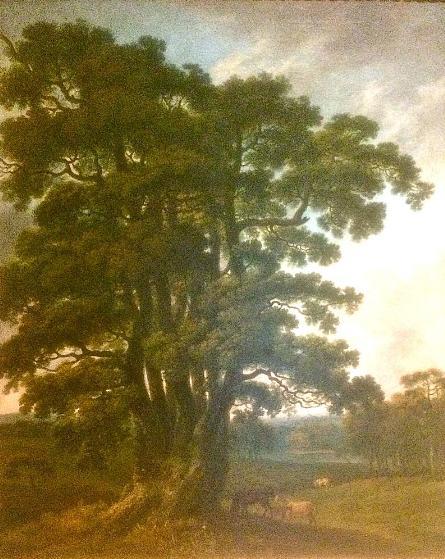 The Severn Sisters oak in Welbeck Park by George Barrett 1765–1766,George Barret Sr.