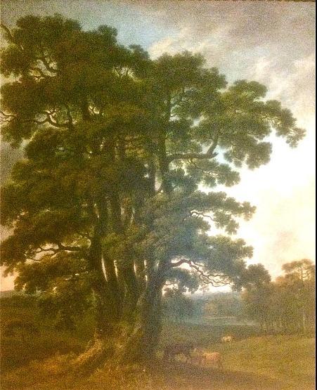 The Severn Sisters oak in Welbeck Park by George Barrett 1765–1766,George Barret Sr.