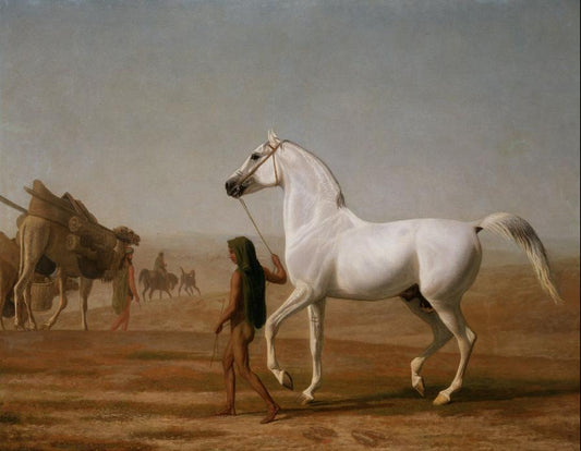 The Wellesley Grey Arabian Led through the Desert Jacques-Laurent Agasse