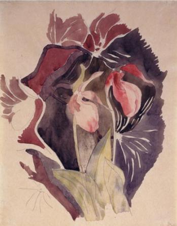 Wild Orchids ， Charles Henry Buckius Demuth